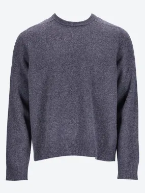 Crewneck sweater