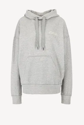 Hoodie Scott in Grau